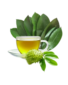 Feuilles de corossol séchées de qualité d'exportation à prix compétitif - Product Image 1