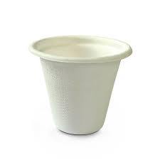 Vaisselle jetable écologique personnalisée de 2 oz, vaisselle biodégradable en bagasse, gobelet à café compostable, gobelet à sauce, eau, huile - Product Image 2
