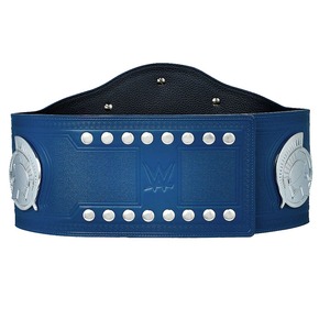 Cinturones de Entrenamiento de Campeonato Universal de Alta Calidad al por Mayor, los Más Vendidos - Product Image 3