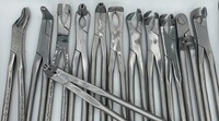 Forceps dentaires équins à long bec / Instruments vétérinaires / Instruments dentaires pour chevaux par ARMANDIOUS industries