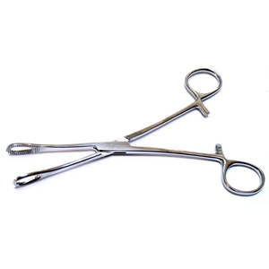 Pinzas quirúrgicas de acero inoxidable, alicates, fórceps redondos para Piercing con dientes para tatuaje, herramientas corporales de Surgiright Instrument - Product Image 1