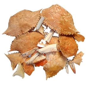 VENTA CALIENTE CÁSCARA DE CANGREJO SECA-ALTA CANTIDAD-PARA ARTESANÍA O ALIMENTACIÓN ANIMAL HECHA EN VIETNAM PARA EXPORTAR - Product Image 1