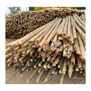 Matériel de cannes de bambou fendu-Bambou de bâton de demi-poteau dans le paquet avec beaucoup de tailles - Product Image 6