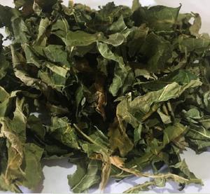 Feuilles de papaye séchées de qualité supérieure | 100% naturel | Exportation en gros de l'Inde - Product Image 4