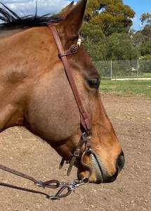 อุปกรณ์ขี่ม้าทำจากสเตนเลสสตีลบิตม้าทองเหลือง - Product Image 5