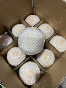 Noix de coco fraîche fruits tropicaux naturels du Vietnam parfaits pour la cuisson des smoothies et la fabrication de boissons - Product Image 5