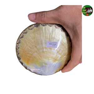 Assiette ronde en nacre de poisson à collectionner avec garniture en cuivre polyvalente pour le caviar, assiette en nacre naturelle - Product Image 2