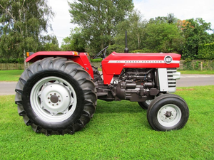 Tracteur à conducteur marchant Massey Ferguson 165, 60 CV, occasion en bon état pour usage agricole, composants essentiels : moteur, boîte de vitesses, pompe, très abordable - Product Image 3