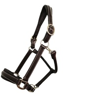 Harnais tendance sur mesure en cuir de cheval véritable style western avec accessoire en corde de nylon FAB FI-LH-2024-60 pour la course d'endurance