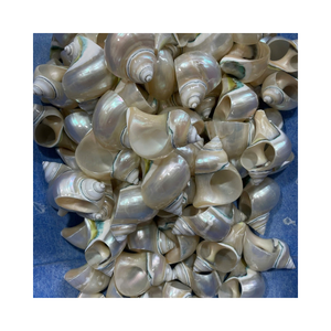 Anneau de serviette coquillage porte-serviettes décoratif réutilisable écologique en gros - Product Image 1