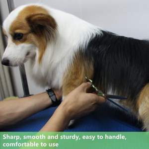 Dientes 6,5 pulgadas Tijeras de adelgazamiento para el cuidado del perro 30% Tasa de adelgazamiento Diseño extremadamente ligero para pelo de Mascota - Product Image 3