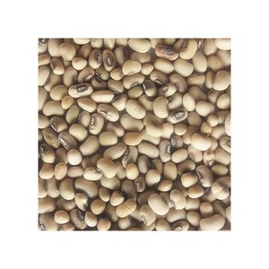 Frijoles Negros (Black-eyed Peas) |   Frijoles Negros Secos a Granel, Cosecha Más Reciente - Product Image 5