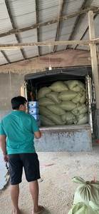 100% poudre de coquille de crevettes facile à utiliser produit de haute qualité du Vietnam avec le prix le plus bas - Product Image 6