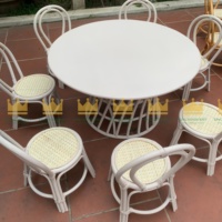 Ensemble de table et de chaises modernes et écologiques en rotin élégant et sûr pour les enfants pour les hôtels en plein air et les parcs