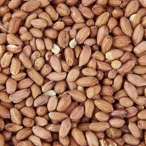 Cacahuete orgánico Kernel Cacahuete Snack Comida Cacahuete crudo - Product Image 6