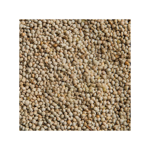 Semillas de perilla disponibles a granel para exportación a industrias extractoras de aceite y alimentos saludables - Product Image 5