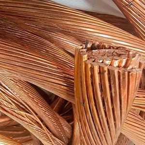 قضيب سلكي من الفولاذ المطلي بالنحاس وهو مادة خام 8 مم ويبقيه مدة طويلة وبسعر منخفض وذو جودة عالية من الصين