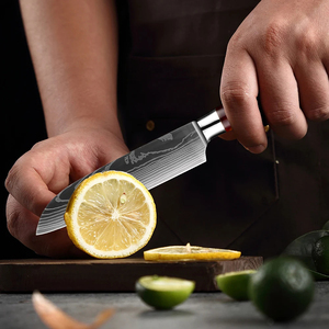Venta al por mayor personalizado de calidad superior OEM ODM servicio cuchillo afilado de acero inoxidable cuchillo para pelar frutas mango de resina Chef de cocina - Product Image 5