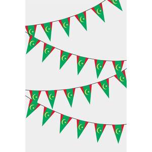 Guirlande de fanions triangulaires de la Mauritanie avec logo personnalisé, impression numérique, mât de drapeau en fibre de verre - Product Image 1