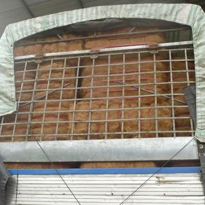 Fibre de noix de coco séchée de super qualité/Produit agricole vendu à chaud du Vietnam à un prix compétitif - Product Image 6