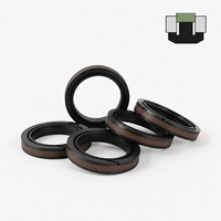 Joint de piston SPGW avec joint torique F-PTFE NBR et anneau de retenue PA/POM 1,5 M/S pour cylindre à mouvement alternatif, résistant à l'usure, joint de piston OEM