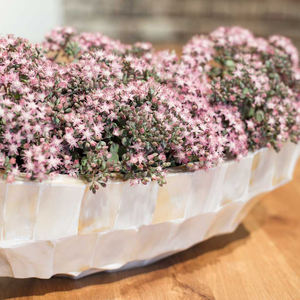 Venta al por mayor superventas de concha de fibra de vidrio florero hecho en Vietnam estilo europeo Concha maceta jarrón - Product Image 3