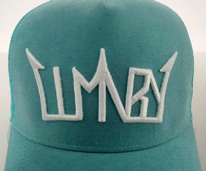 Venta al por mayor de terciopelo gorra de calavera 5 paneles 3D bordado logotipo en relieve personalizado gorra de camionero mexicano Gorras de malla gorra de camionero sombrero de malla de gamuza - Product Image 6