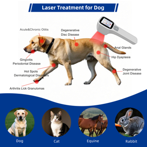 Appareil de thérapie <span class=keywords><strong>laser</strong></span> de faible intensité de classe IV 650 nm 808 nm 905 nm 980 nm, équipement de physiothérapie MLS, lumière rouge avancée pour la médecine vétérinaire - Product Image 5