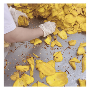 ผลิตภัณฑ์ที่ดีที่สุดจากเวียดนาม มะม่วงอบแห้งพริก 99 GOLD DATA - Product Image 1