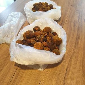 Cow and Ox Dried Gallstones of Cattle (Bezoars) - Product Image 1