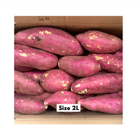 Pas cher prix vietnam Patate douce nouvelle récolte fraîche taille personnalisée orange violet