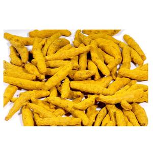 Compre dedos de cúrcuma de alta calidad a la venta a precios asequibles disponibles a granel para pedidos al por mayor - Product Image 6