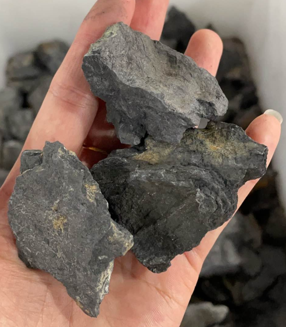 Shungite