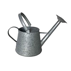 Arrosoir en métal galvanisé avec deux poignées de transport et une longue bec verseur de précision pour l'arrosage des plantes d'intérieur et d'extérieur - Product Image 1