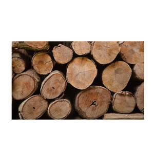 Eucalyptus Wood Round <b>Logs</b>, Wholesale Supplier - Product Image 1