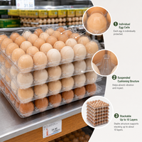Plateau à œufs en plastique PET transparent, 30 compartiments, qualité alimentaire, avec couvercle et base séparés, compatible Moba/Sanovo universel