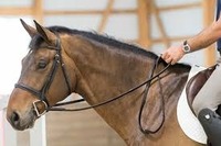 Cabezada de malla de nailon occidental para carreras de caballos con arnés y riendas, conjunto de aparejos personalizado - Cómodo y duradero
