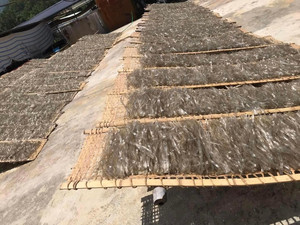 El mejor proveedor Vietnam Arrowroot Vermicelli Noodle/ Vietnam Steamed Vermicelli Roll con alta calidad - Product Image 3