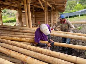 Varas de Bambú Largas de 6m y 12m para Construcción Estructural, Tratamiento Personalizado Antitermitas, Fabricante - Product Image 4