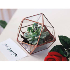 Terrarium ทรงเรขาคณิตสูงแก้วใสกรอบเหล็กดีไซน์ใหม่ล่าสุดสำหรับตกแต่งโต๊ะ - Product Image 1