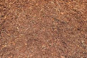 Organic Peat 5 kg Coco Peat Block, 100% Natural Coco Coir <strong>Fiber</strong> for Soilless Gardening, Coco <strong>Bale</strong> - Product Image 5