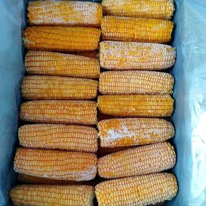 Maíz Dulce Blanco/Amarillo Entero Congelado LQF, Saludable y 100% Natural, de Alta Calidad, envasado al Vacío a Granel con Conservación de Agua - Product Image 6