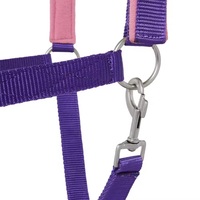 Bridons et harnais pour chevaux de haute qualité, les plus vendus, avec sangle personnalisable, couleur personnalisable, logo personnalisé, en cuir, marque privée, OEM/ODM