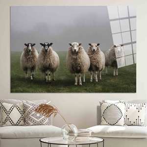 Impresión fotográfica de ovejas: Arte en lienzo con marco negro estilo granja, arte en vidrio templado - Product Image 1