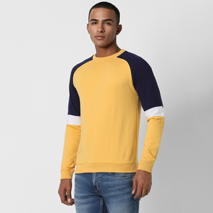 Collection d'hiver la plus vendue, service OEM, sweat-shirts à col rond en molleton 100% coton coupe-vent à bas prix pour hommes - Product Image 4