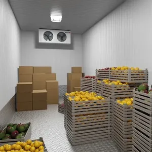 Customized Frozen Fish Food 40 Feet Cold Room Containers Cold Storage Cold Storage of Fruits and Vegetables Made in India
