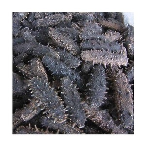Concombre de mer séché - PRODUITS DE LA MER SÉCHÉS et CONGELÉS Disponibles au prix le plus bas - Product Image 1