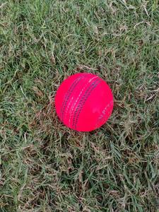 Kookaburra cuero de alta calidad cosido a mano 5.5onz bolas rosas Cricket deportes entrenamiento partido Cricket bolas cuero de alumbre - Product Image 4