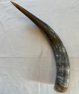 Large Size Buffalo <b>Drinking</b> <b>Horn</b> Stylish Buffalo <b>Drinking</b> <b>Horn</b> Kitchenware and Drinkware Viking <b>Horn</b> Customized Size - Product Image 3