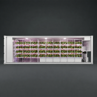 Conteneur professionnel de 40 pieds High Cube pour la culture de fraises avec contrôle climatique intelligent IoT pour projet de ferme verticale commerciale